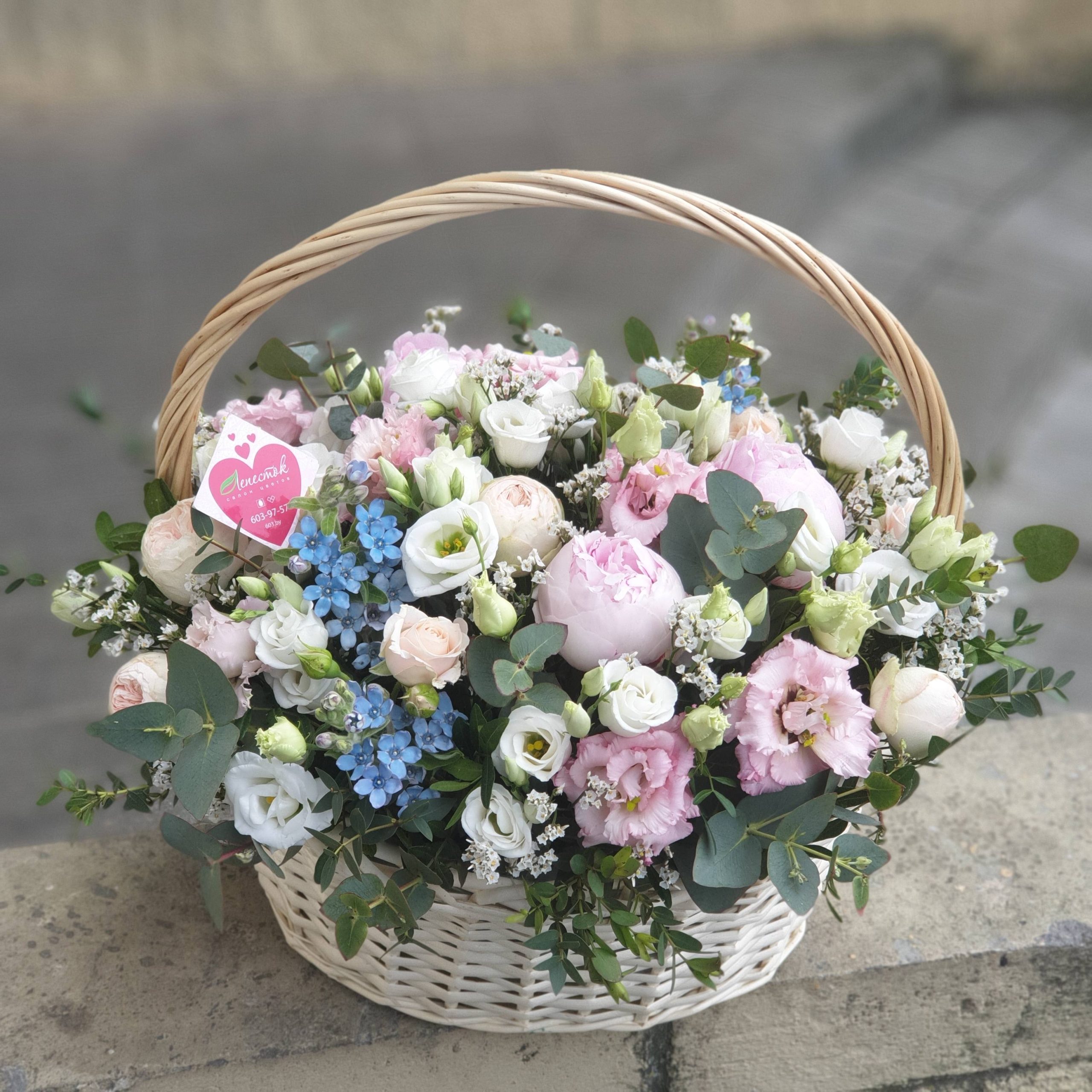 0d177e3a-bb24-4bbf-a9ab-03bdca67f441